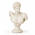 Apollo Bust - Wooden Arts