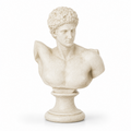 Apollo Bust