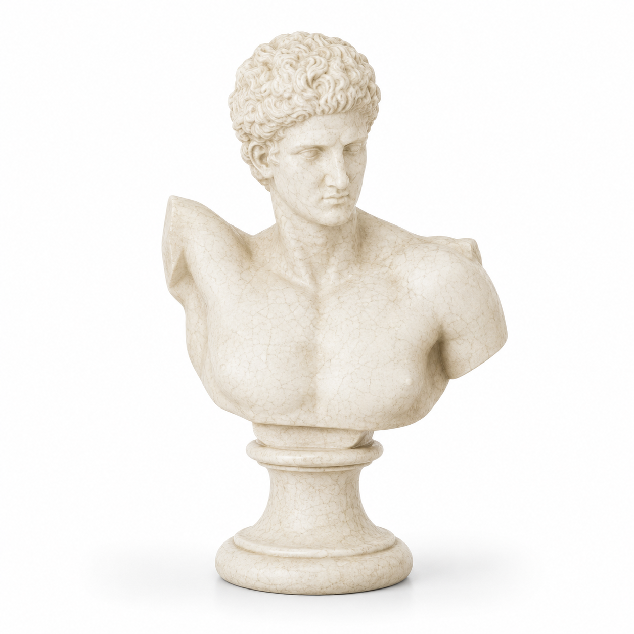 Apollo Bust